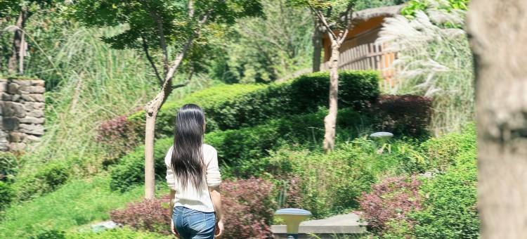 雅安蒙顶山花间堂·茶马司图片