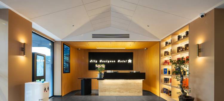 百合设计师酒店(苍南金乡店)图片