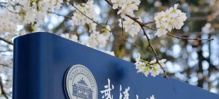 Elong R.YUN 艺龙瑞云酒店(武汉大智路地铁站江汉路步行街店)图片