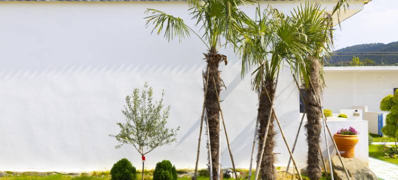 遇见山・Mountain森系花园美宿(中国矿业大学徐海学院新校区店)图片