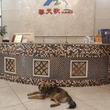 馨天歌酒店(简阳市中心高铁南站)图片