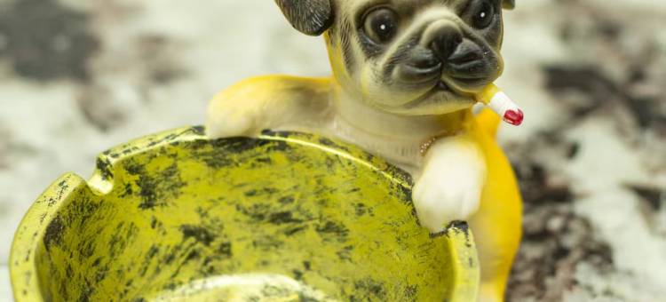 峰悦湾民宿(河头老街店)图片