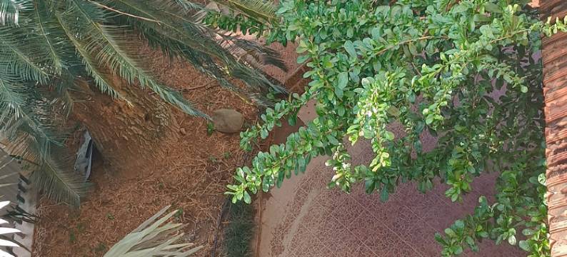 88 伊霍姆 内排机场(88 Ehome Noibai Airport)图片