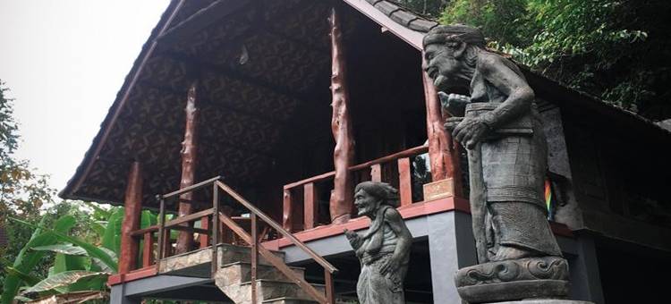 Bali Jungle Resort图片