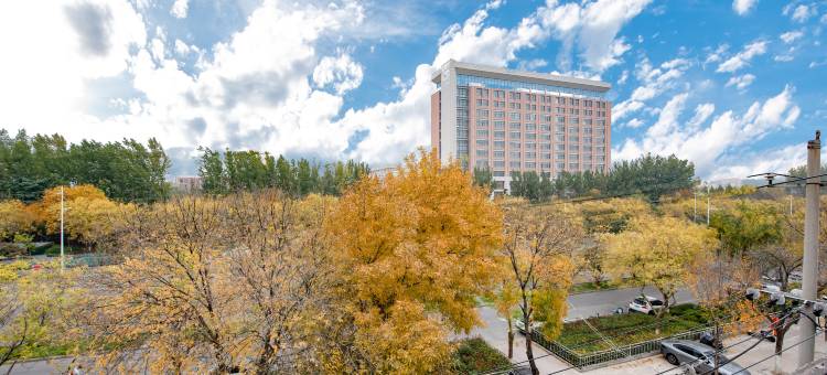 OYO焦作辉腾极客主题酒店图片