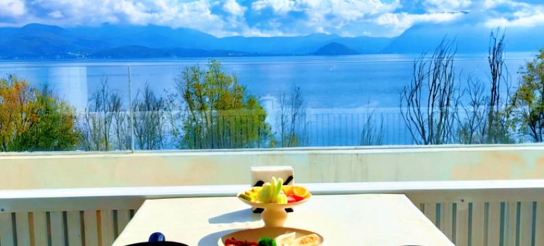 大理素心江上海景villa(洱海店)图片