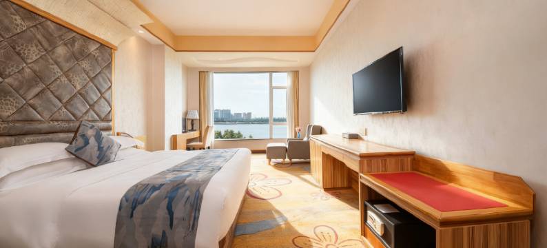 河源迈豪国际酒店图片