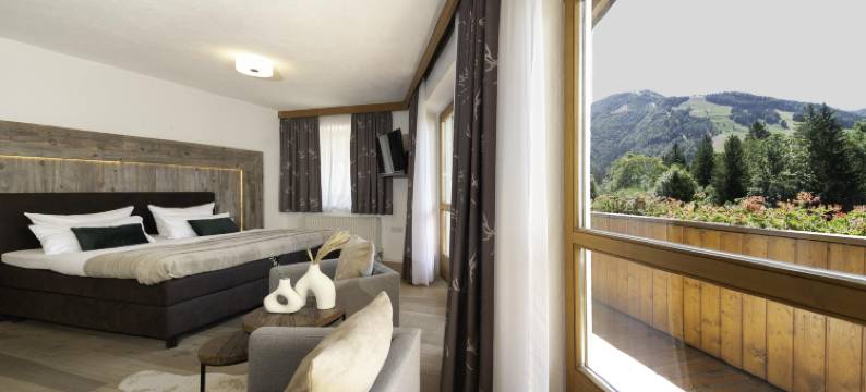 尊斯特伦霍夫酒店(Wellness Hotel ZUM STERNENHOF)图片