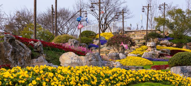 婺女洲度假区徽市街艺术酒店图片