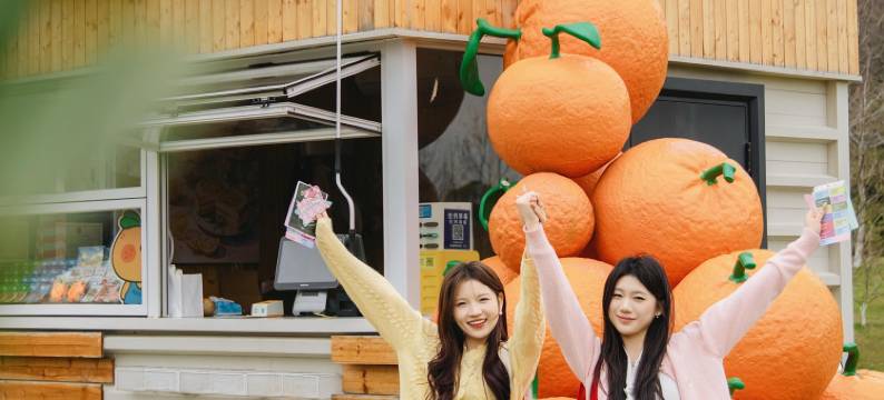 嘉兴开元森泊度假酒店图片