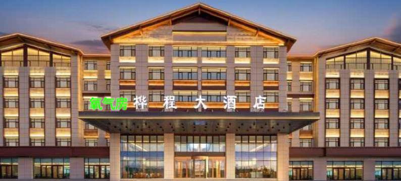 茶卡桦程大酒店图片