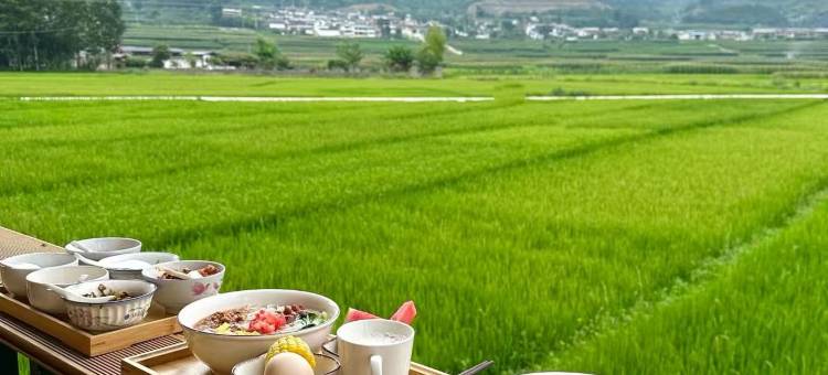 GREEN·Holic绿太阳生态园民宿图片