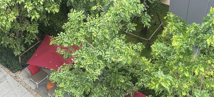 芭提雅维逸公寓｜近 21 航站楼 近海出入便利 | 带洗衣房宜居长住(MUXA&Vay)图片