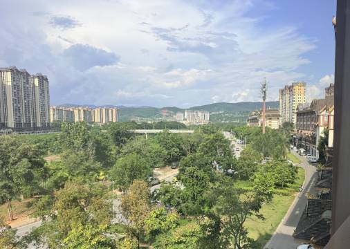 西双版纳景洪丽呈酒店(曼听公园|勐泐大佛寺店)图片