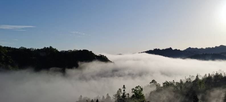 云栖幽谷私汤民宿(雅安碧峰峡店)图片