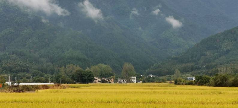 黄山猪栏酒吧乡村客栈老油厂店图片