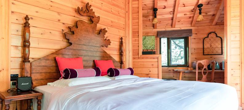 云峰山童话树屋图片