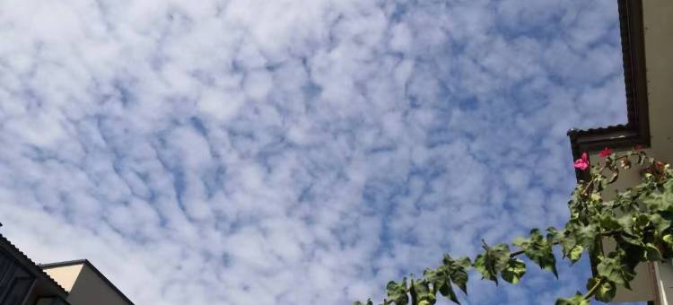 武夷山印象红袍小院图片