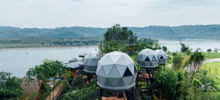 树蛙部落(泸州店)图片