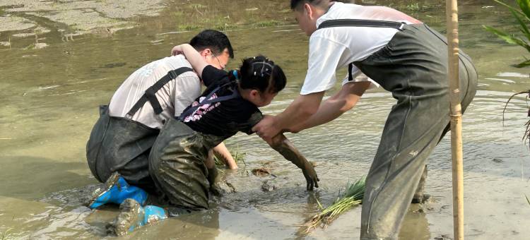 桐庐向往的生活蘑菇屋民宿图片