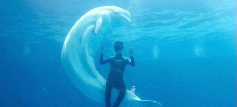 石林贵安旅馆图片