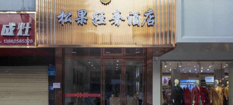 射洪松果轻奢酒店(太和大道店)图片