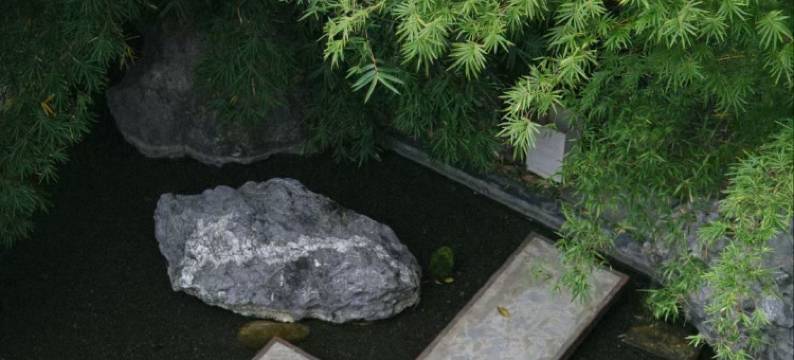 景德镇一夕言欢民宿图片