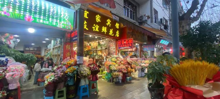 宜家宾馆(公园路店)图片