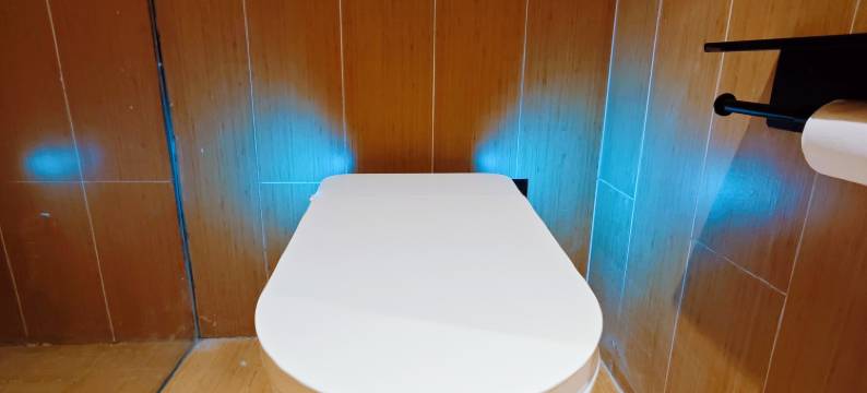 亚东美朵酒店图片