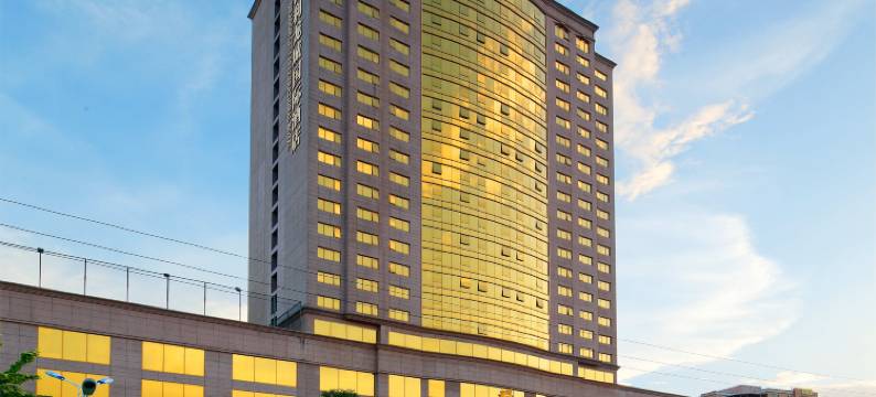 河源百利龙城国际酒店图片