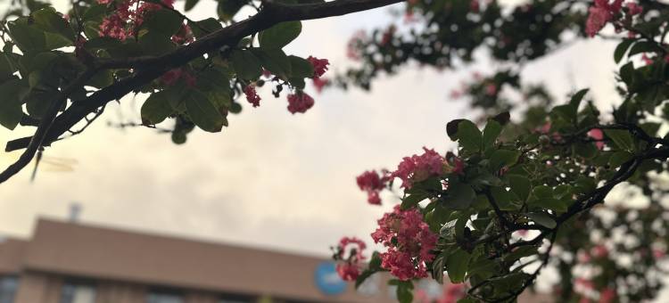 汉庭酒店(烟台莱州文化西路店)图片