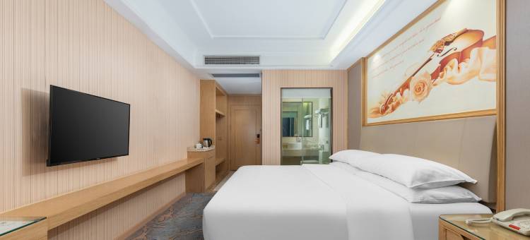 维也纳3好酒店(顺德美的广教地铁站店)图片