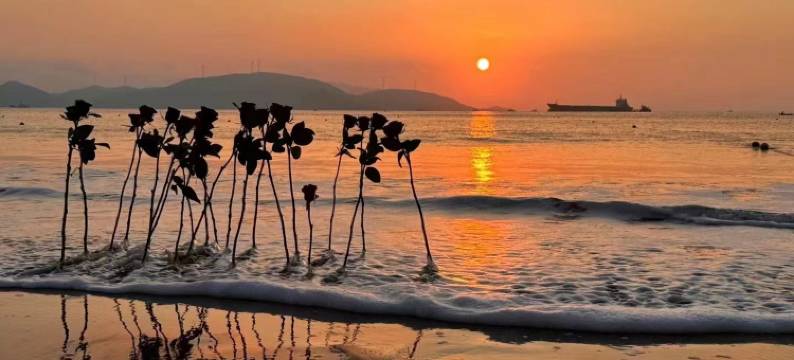 象山星辰屿海度假民宿(鹤浦大沙沙滩店)图片