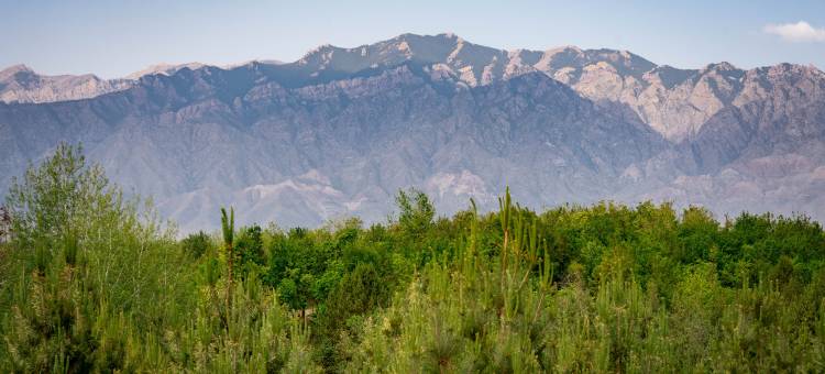 萄萄乐·度假民宿(欣恒酒庄店)图片