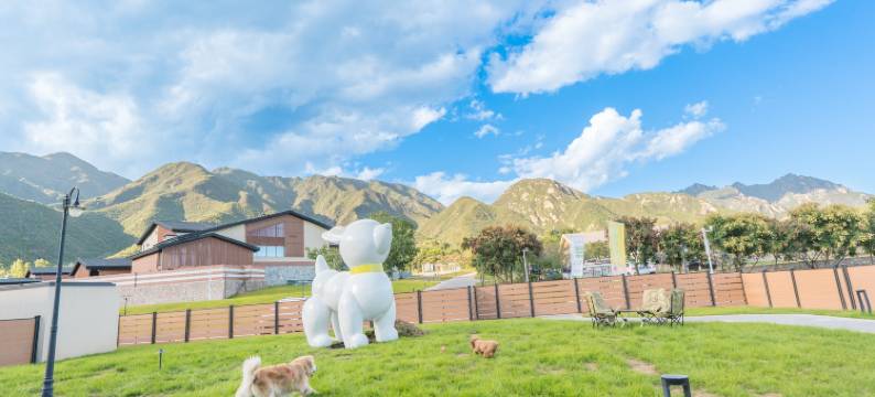 萌兽派Cute Beast·酒店(北京延庆世园公园店)图片