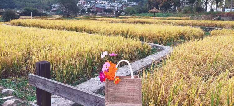 莫干山漫时光温泉度假民宿图片