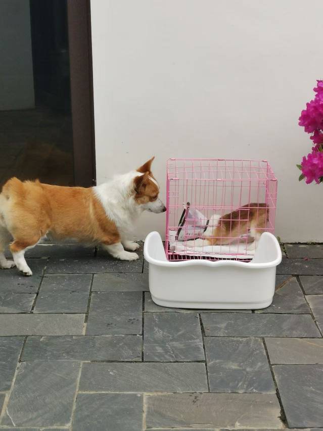 花筑·南京汤山左邻右舍温泉民宿图片