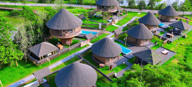 理想东方椰林稻香乡村民宿图片