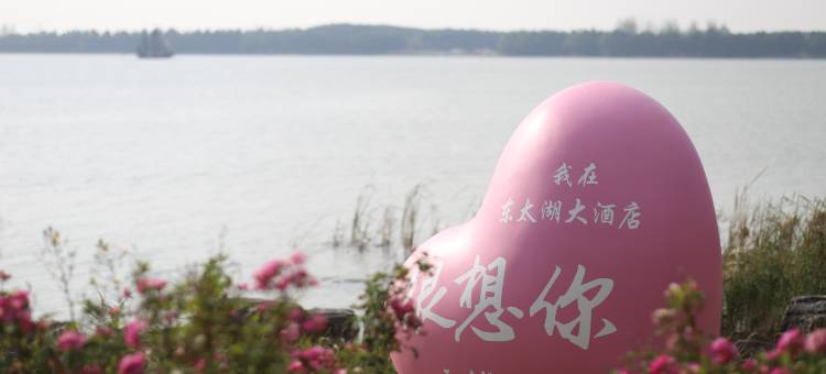 苏州东太湖大酒店图片