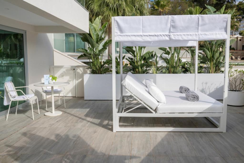 The Donna Portals Over view