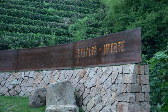 安吉悠然九希∙满碗花酒店图片