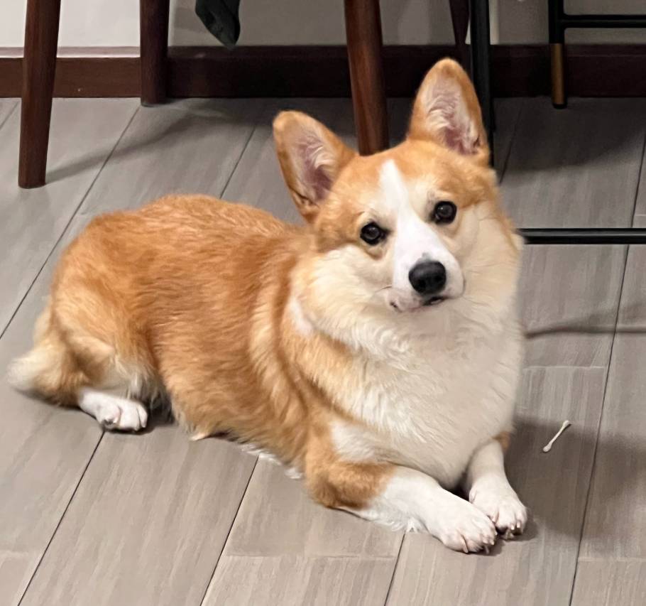 花筑·倚庐民宿(庐山风景区换乘中心店)图片