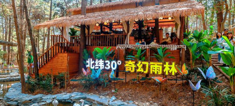 茅山森林世界度假村·森林一墅(官方店)图片