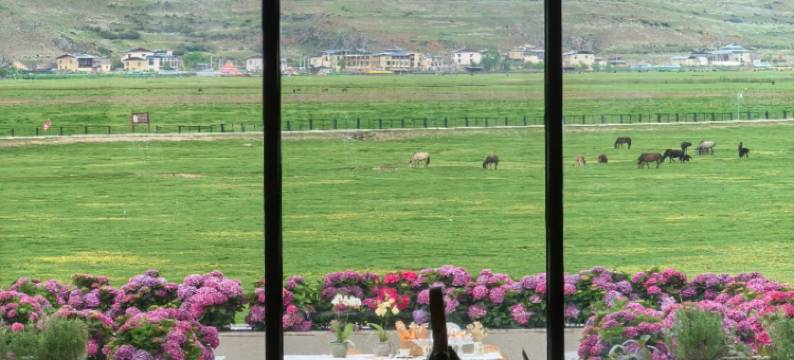 高山别庄·香格里拉酒店图片