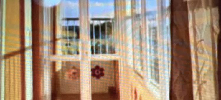 DC Travellers Inn图片