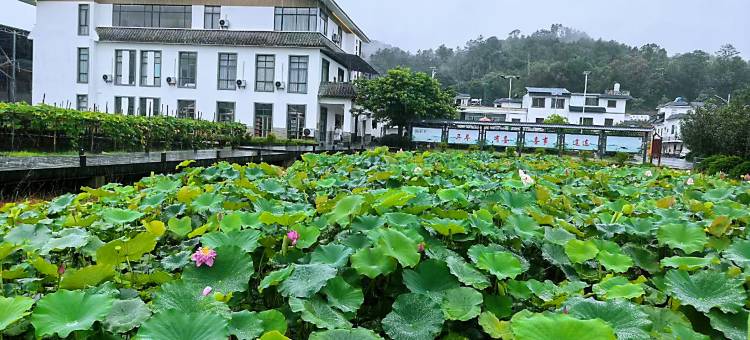 荷塘月色民宿(翁源湖心坝店)图片