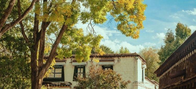 逸米酒店(拉萨罗布林卡西藏博物馆店)图片