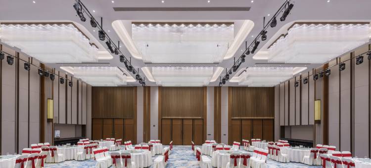 星龙国际酒店(乌鲁木齐天山国际机场店)图片