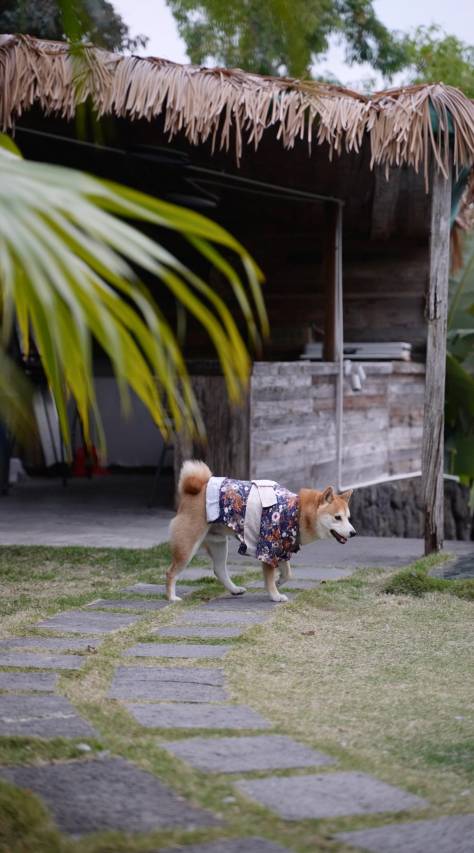 蜜悦·深圳托斯卡纳海景度假美宿图片