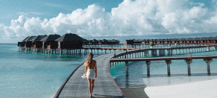 马尔代夫双鱼岛(Sun Siyam Olhuveli Maldives - 50% discount on transfer until 20 Dec 2025)图片